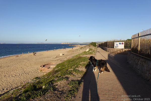 Heute laufen wir in dIE entgegengesetzte Richtung entlang am Spiaggia Vignola. Auf der Promenade entlang des Strandes müssen wir Lenny und Shadow noch an der Leine bleiben.