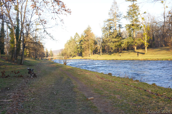 Aber nun geht es raus und an die Wiese (Fluss)