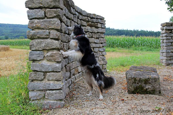 Da kann man Leckerchen verstecken