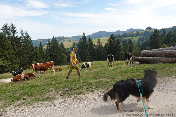 Aber so gut abgeschirmt, traut sich dann auch Monika mit Lenny und Shadow durch