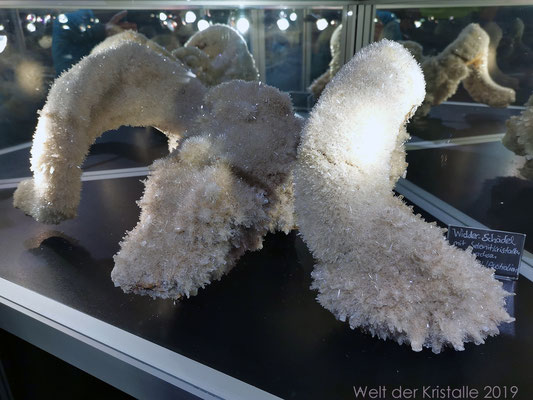 Ein mit Selenitkristallen überwachsener Widderschädel aus Australien