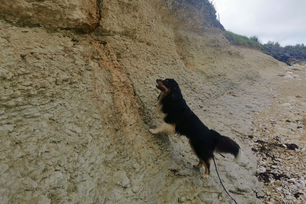 Auf der ersten Pipirunde wurden Lenny und Dieter von einem Regenschauer überrascht und können sich hier unterstellen