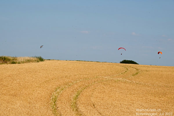 Am Horizont zeigen sich Gleitschirmflieger, die den Aufwind an der Steilküste nutzen