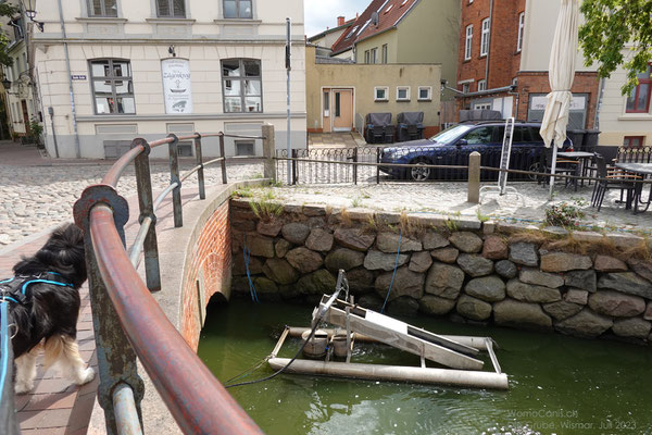 Mit diesem "Gerät" werden die Steigaale gezählt. 