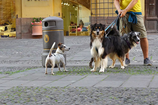 Lenny hat mich im Laden entdeckt