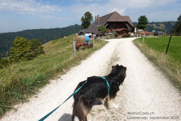 Bei der Alpwirtschaft "Steygärtli" auf der hinteren Lüderenalp machen wir Rast 