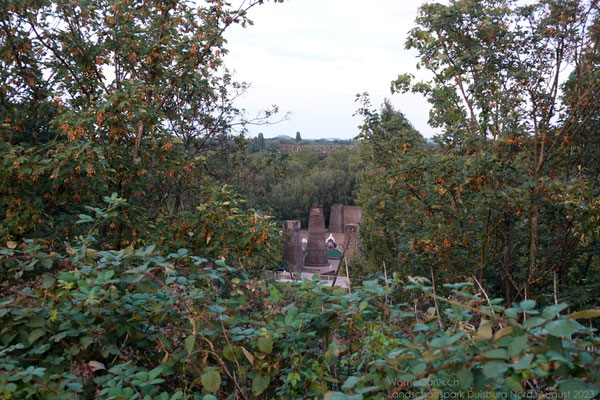 Klettergarten im Hintergrund