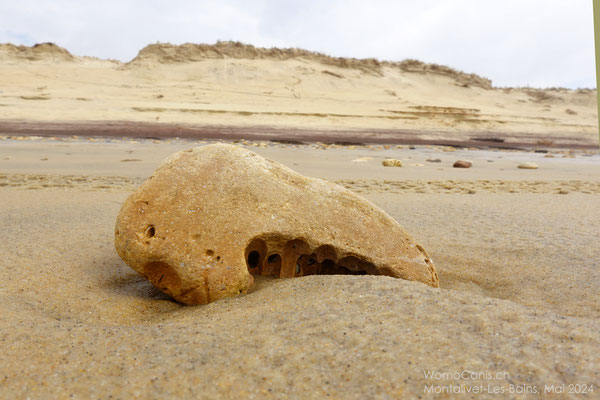 Bei den Naturfotos sind noch viele andere zu bestaunen