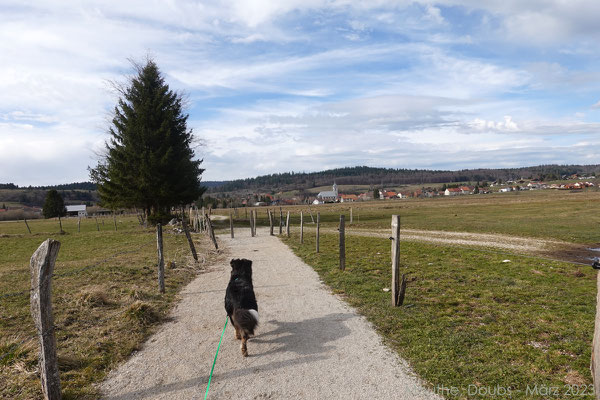 Bald sind wir zurück im Dorf