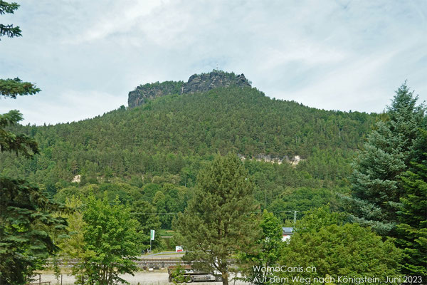 Blick zum Lilienstein