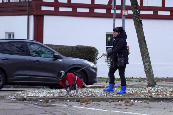 Ein letzter gemeinsamer Spaziergang bevor wir Abschied von ihnen und Nördlingen nehmen