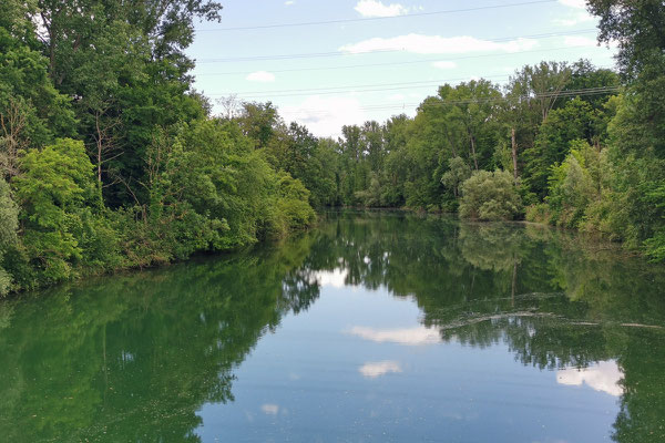 Bei Breisach mündet die Möhlin in den Rhein