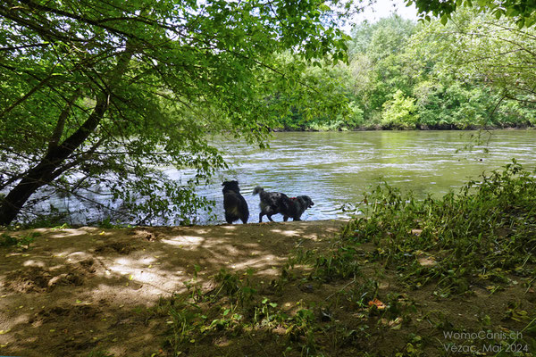 Die Jungs sind jedoch mehr am Wasser interessiert