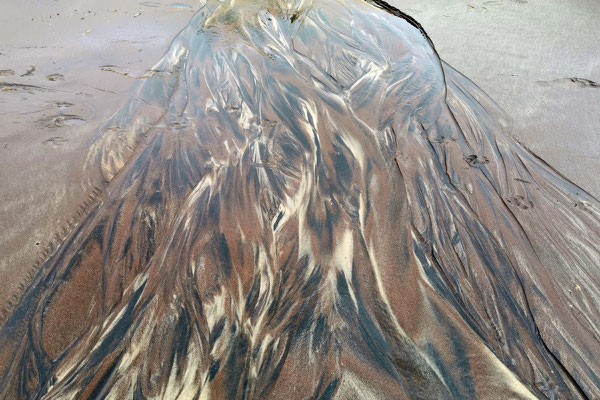 Die Natur zaubert herrliche Kunstwerke in den Sand