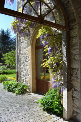 Glycine