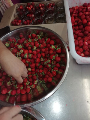 Erdbeeren