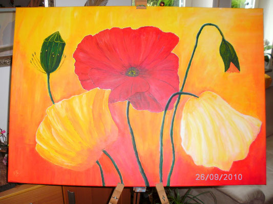 Mohn 70 x 100 cm