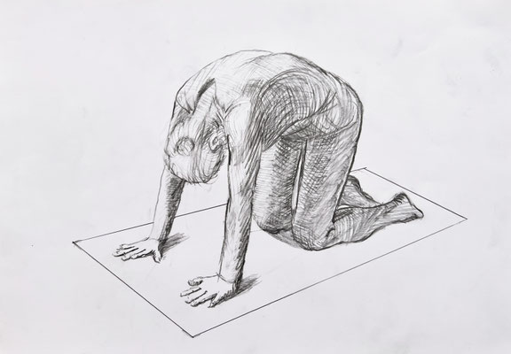 5. Katze Chakravakasana