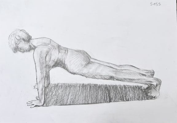 3.Caturanga Dandasana