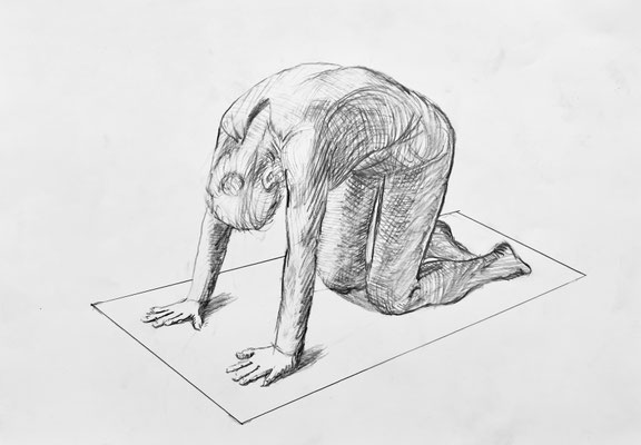 5. Katze Chakravakasana