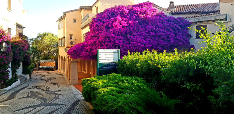 Prenota la tua vacanza in Sardegna-via del Molo-Stevasas