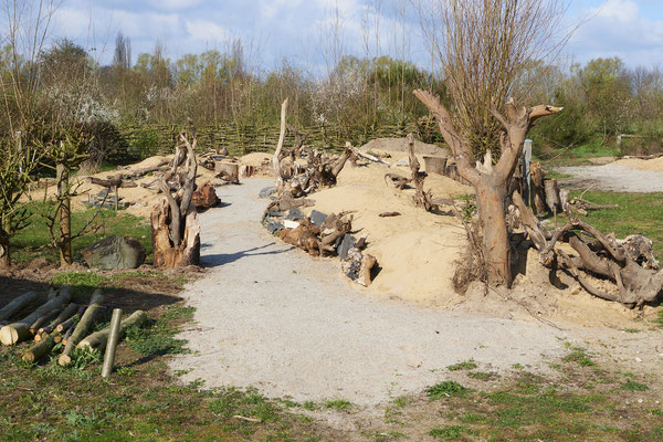 Nr.0042 - WES - Naturarena Auf dem Mars - 51°40`35.21" 6°31`31.96" - (27.03.2019)