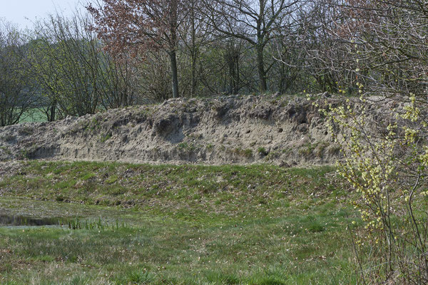 Nr.0171 - Dingdener Heide - 51°46`56.92" 6°40`27.75" - (09.04.2019)
