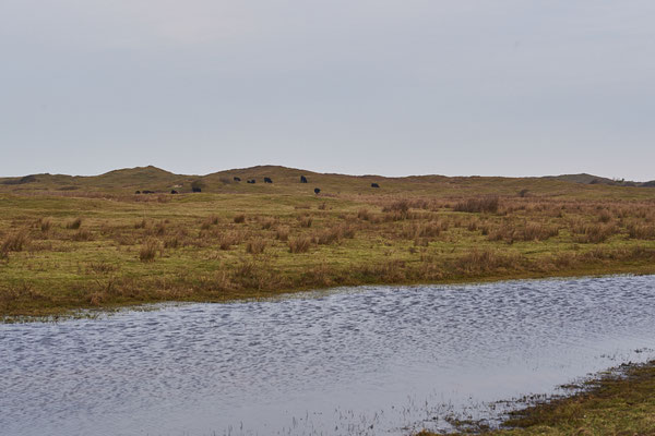 DeMuy-Spaziergang