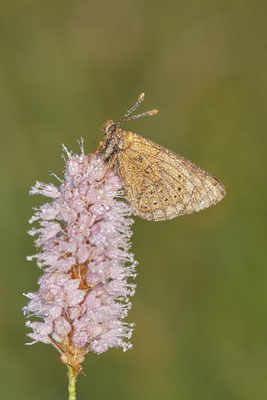 37 - ? - Vom 13.6. bis 20.6.2021 Urlaub im Allgäu