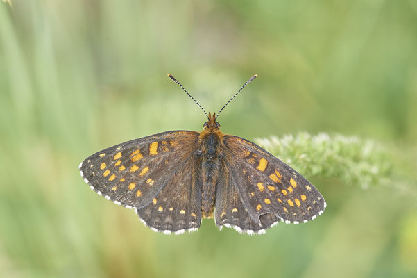 40 - ? - Vom 13.6. bis 20.6.2021 Urlaub im Allgäu