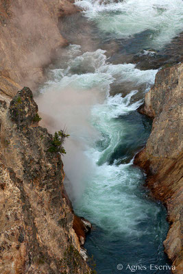 Grand canyon of the Yellowstone