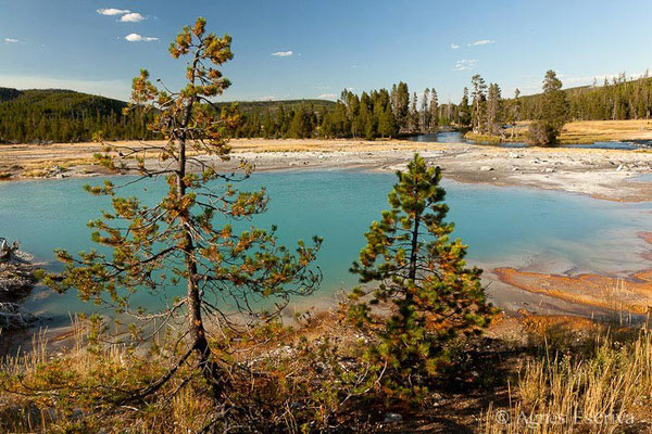 Biscuit Basin, Parc du Yellowstone