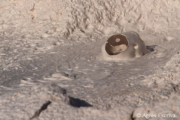 Artist Paint Pots, Gibbon Geyser Basin, Parc du Yellowstone