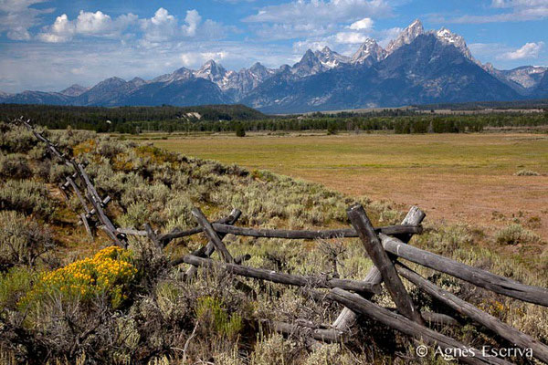 Grand Teton National Park