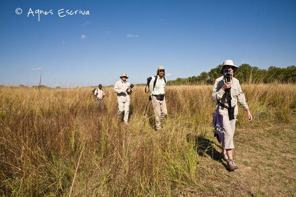 Walking safari à South Luangwa - Zambie mai 2009