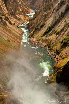 Grand canyon of the Yellowstone