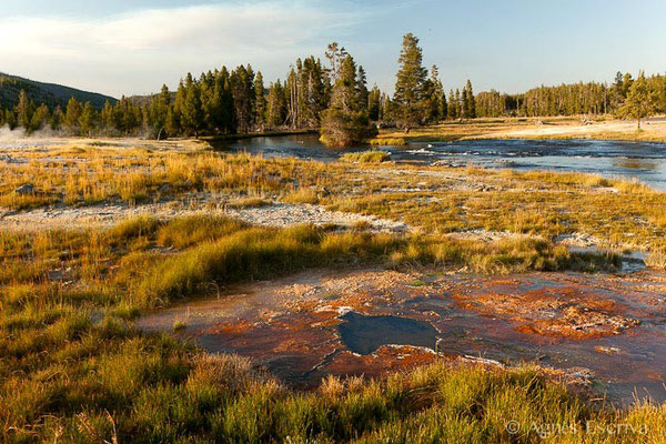 Biscuit Basin, Parc du Yellowstone