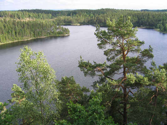 Från Grytebergen