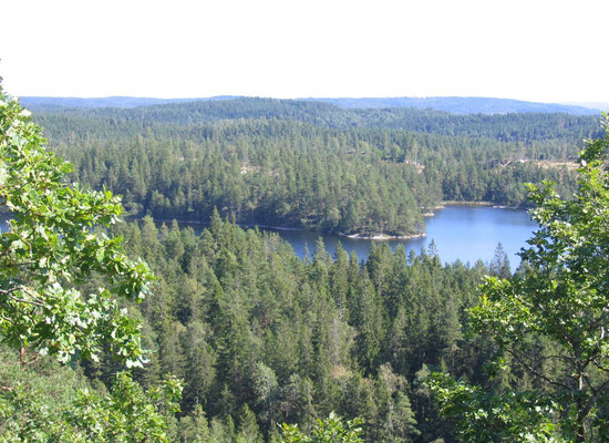 Från Loftet