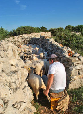 Foto: Gligora