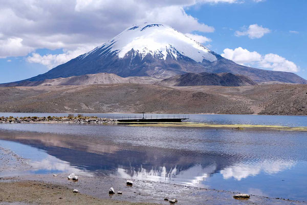 Parinacota Vulkan am Chungará See, Lauca Nationalpark 