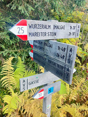 Wanderung Aussichtsberg „Mareiter Stein“ Ridnaun