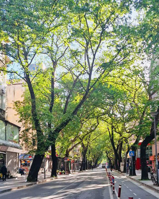 Tirana City