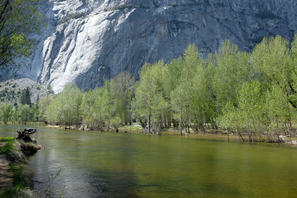 Merced River Yosemite National Park USA Kalifornien 