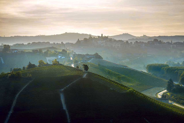 Nebellandschaft in Piemont