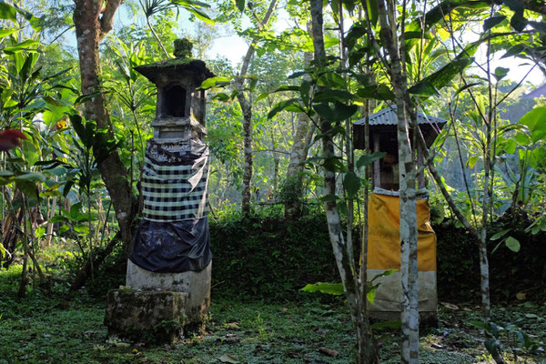 Wanderung durch die Munduk Moding Plantation Bali