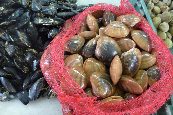 Meeresfrüchte aus der Fischhalle in Zadar