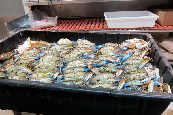  Redondo Beach Seafood Market