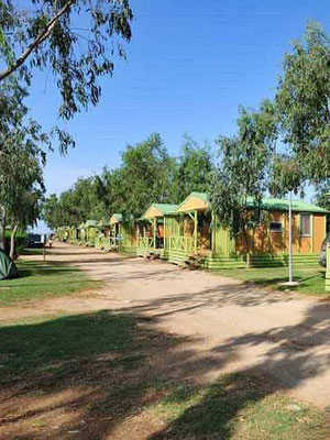 Campingplatz Eucaliptus im Ebro-Del
