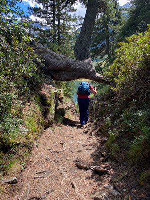 Wanderung am Cavloc See